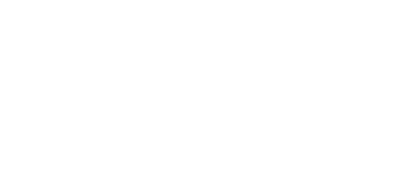 Logo araucana